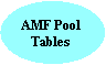 amf.gif (1235 bytes)