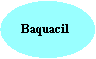 baq.gif (1164 bytes)